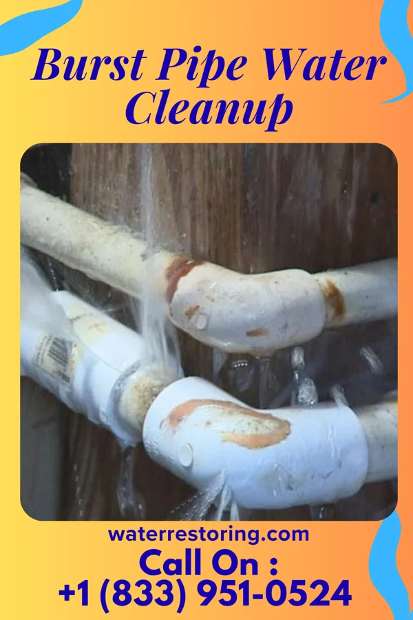Burst Pipe Water Cleanup in Tazewell, VA
