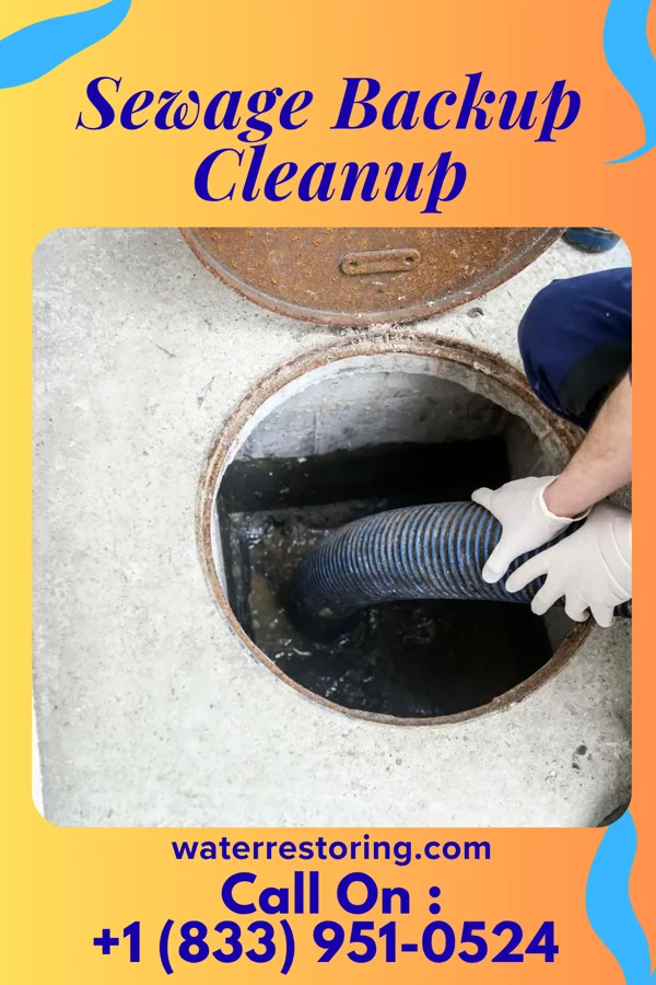 Sewage Backup Cleanup in Tazewell, VA