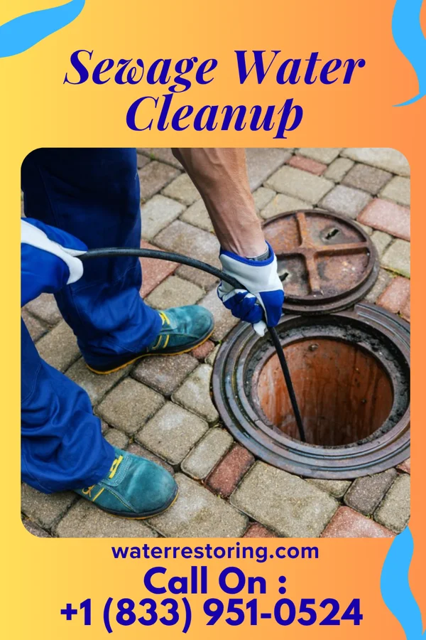 Sewage Water Cleanup in Tazewell, VA