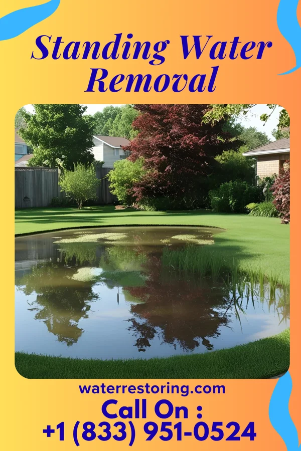 Standing Water Removal in Tazewell, VA